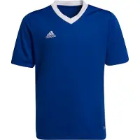 Adidas T-shirt för barn Entrada 22 Jsy blå HG3948 (116cm)