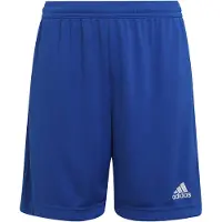 Adidas Entrada 22 Shorts