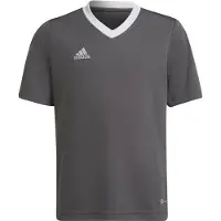 Adidas T-shirt - ENT22 JSYY - Grå/Vit - - 12 år (152) - T-shirt
