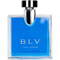 Bvlgari Blv Eau De Toilette Spray - Blv Pour Homme - 100ml