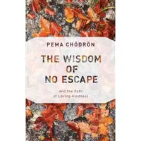 The Wisdom of No Escape