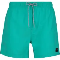 Rip Curl Offset Volley Boardshorts aqua Storlek XXL