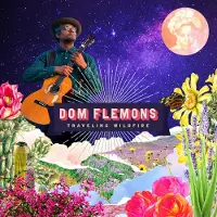Konkurrent Dom Flemons: Traveling Wildfire