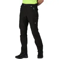 Regatta Highton Shorts