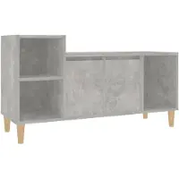 vidaXL Tv-bänk betonggrå 100x35x55 cm konstruerat trä