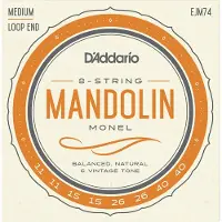 D'Addario EJM74