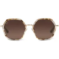 Kapten & Son Solglasögon 'Amsterdam Edge Toffee Tortoise Brown' brun / guld / transparent