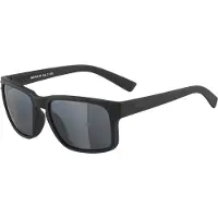 Alpina Kosmic Sunglasses Svart Black Mirror/CAT3