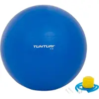 Tunturi Gym Ball Fitboll