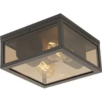 QAZQA Taklampa svart med rökglas 2-ljus IP44 - Charlois