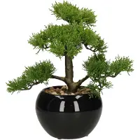 Atmosphera Jj070 36 Cm Deco Green Collection Konstgjord Växt