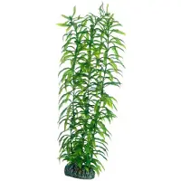 Hobby Dekorväxt Heteranthera 34cm 34cm