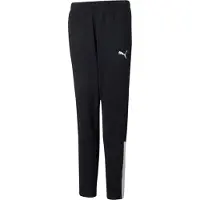 Puma Teamliga Training Byxor