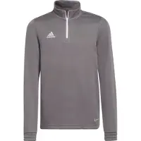 Adidas Entrada 22 träningströja för barn grå H57549 140 cm