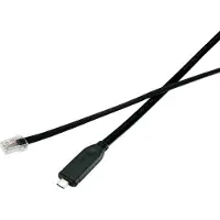 Renkforce USB-C, RJ45 Adapterkabel [1x USB-C hane - 1x RJ45 hane 8p8c] 3.00 m Svart