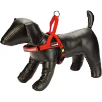 Beeztees Premium Parinca Hundsele