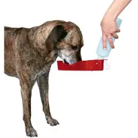 Trixie DOG ON TOUR flaska med dricksskål 250 ml