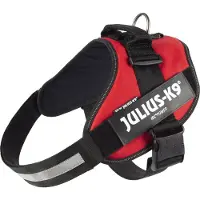 JULIUS K-9 Idc Hundsele