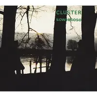 Ginza.se Cluster: Sowiesoso