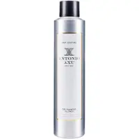 Antonio Axu Dry Shampoo Texturizing Touch 300ml
