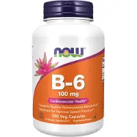 Now , B-6, 100 mg, 250 Veg Capsules