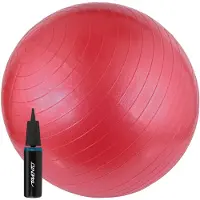 Avento Fitness/gym Ball Fitboll