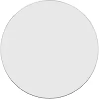 vidaXL Väggspegel silver Ø 60 cm rund