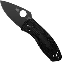 Spyderco Ambitious 148PBBK Lightwt Linerlock
