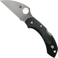 Spyderco Dragonfly 2 Wharncliffe C28FPWCBK2 pocket knife