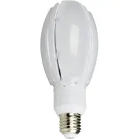 Nasc LED Oval Gårdslampa 24W E27 3000K
