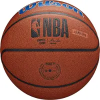 Wilson Team Alliance Detroit Pistons basketboll WTB3100XBDET - 7