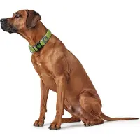 Hunter Pet Hilo Vario Basic L-xl Hundhalsband