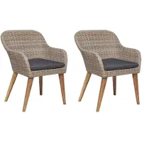 vidaXL Utestolar med Dynor 2 st Poly Rotting Brun