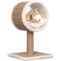 vidaXL Kattmöbel med tunnel och leksak 56 cm sjögräs