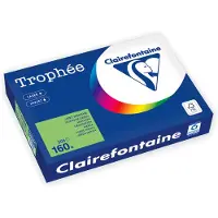 Clairefontaine 160g A4 papper | gräsgrön | 1025PC | 250 ark