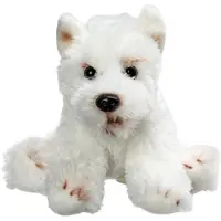 Suki sittande West Highland Terrier