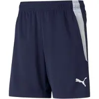 Puma Sportbyxa 'Team Liga' marinblå / vit