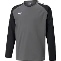 Puma Funktionstopp 'TeamLiga' grå / svart / vit