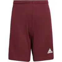 Adidas Squadra 21 Shorts