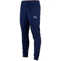 Puma Teamrise Poly Training Byxor
