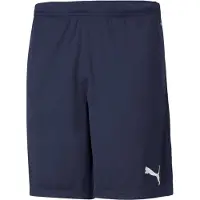 Puma Teamrise Training Shorts