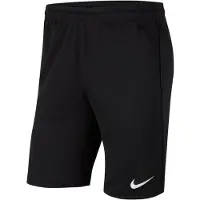 Nike Dri Fit Park Knit Shorts