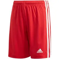 Adidas Squadra 21 Shorts