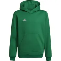 Adidas Hoodie - Ent22 Hoody Y - Teagrn/White - - 8 år (128) - Hoodie