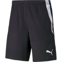 Puma Teamliga 2 Shorts