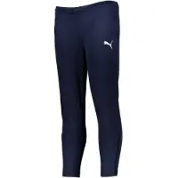 Puma Teamrise Poly Träningsbyxor