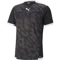 Puma Domartröja teamLIGA - Svart/White, storlek Small