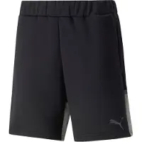 Puma Shorts Teamcup Casuals - Svart, storlek X-Large