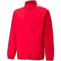 Puma Träningsjacka 'TeamLiga' röd / vit