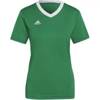 Adidas Entrada 22 T-shirt Med Korta ärmar